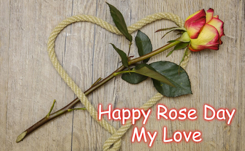 Rose Day Wishes 2026 My Love