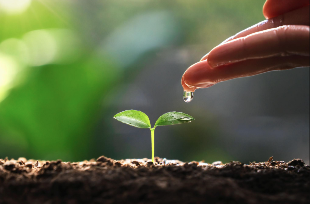 Importance of Earth Day 2026